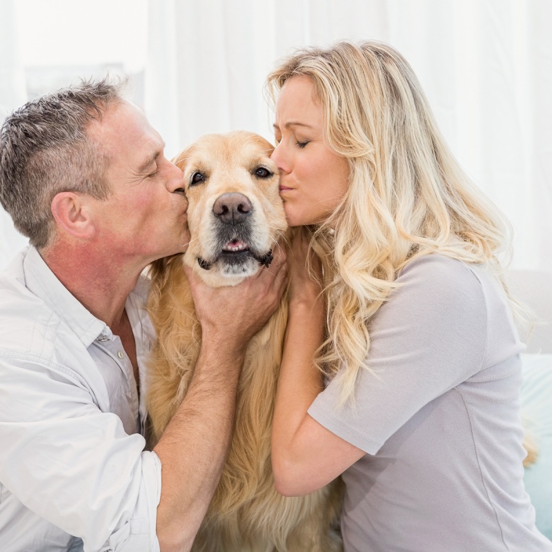 LPC bij honden