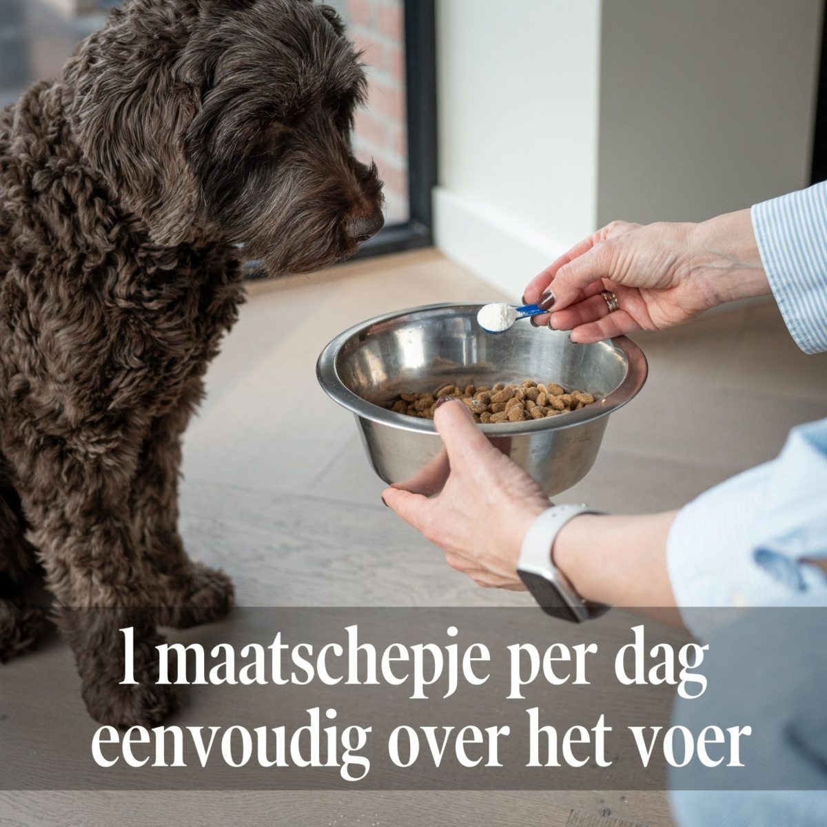 Sensi Probiotica Hond & Kat - 100 gram 
