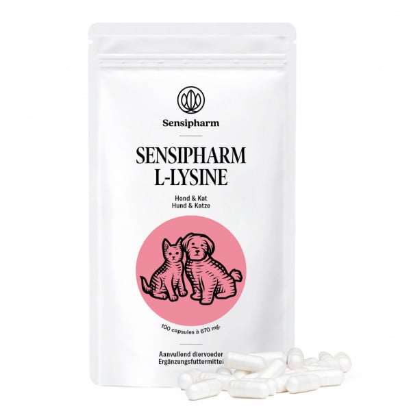 L-Lysine capsules | Voor honden en katten